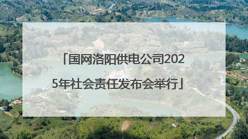 国网洛阳供电公司2025年社会责任发布会举行