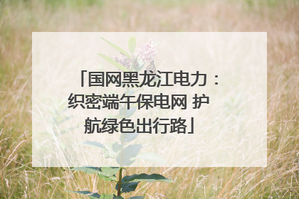 国网黑龙江电力：织密端午保电网 护航绿色出行路