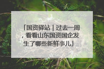 国资驿站｜过去一周，看看山东国资国企发生了哪些新鲜事儿