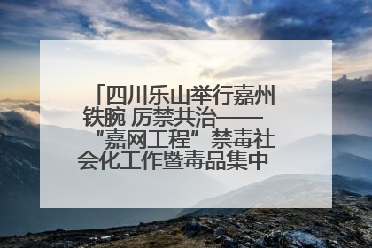 四川乐山举行嘉州铁腕 厉禁共治——“嘉网工程”禁毒社会化工作暨毒品集中销毁启动仪式