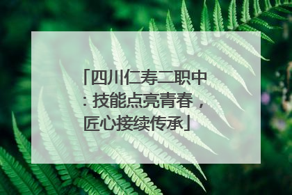 四川仁寿二职中：技能点亮青春，匠心接续传承
