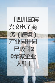 四川宜宾兴文电子商务（跨境）产业园开园 已吸引20余家企业入驻