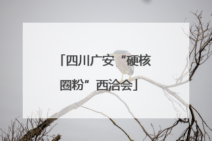 四川广安“硬核圈粉”西洽会