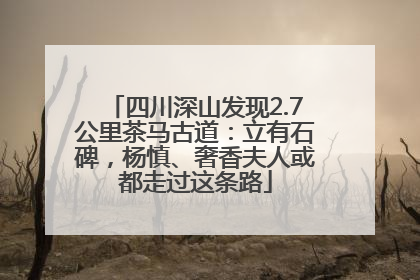 四川深山发现2.7公里茶马古道：立有石碑，杨慎、奢香夫人或都走过这条路