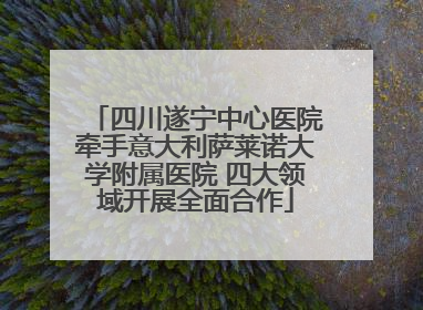 四川遂宁中心医院牵手意大利萨莱诺大学附属医院 四大领域开展全面合作