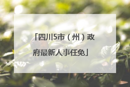 四川5市（州）政府最新人事任免