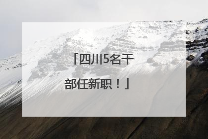 四川5名干部任新职！
