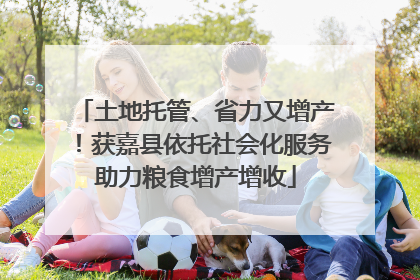 土地托管、省力又增产！获嘉县依托社会化服务助力粮食增产增收