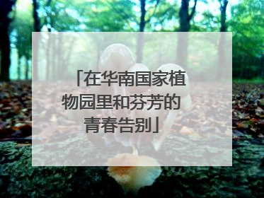 在华南国家植物园里和芬芳的青春告别