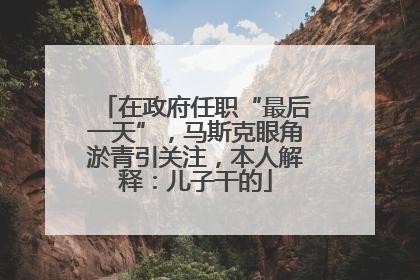 在政府任职“最后一天”，马斯克眼角淤青引关注，本人解释：儿子干的