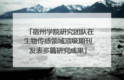 宿州学院研究团队在生物传感领域顶级期刊发表多篇研究成果