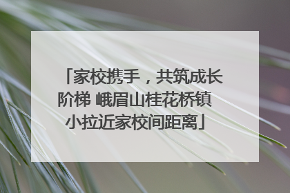 家校携手，共筑成长阶梯 峨眉山桂花桥镇小拉近家校间距离