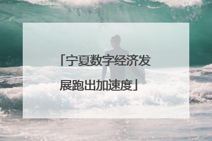宁夏数字经济发展跑出加速度