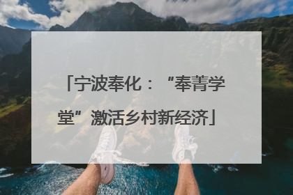 宁波奉化：“奉菁学堂”激活乡村新经济