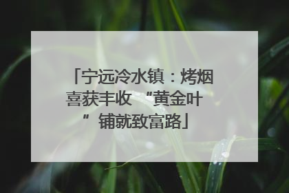 宁远冷水镇：烤烟喜获丰收 “黄金叶”铺就致富路