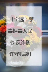 宁远：禁毒拒毒入民心 反诈防诈守钱袋