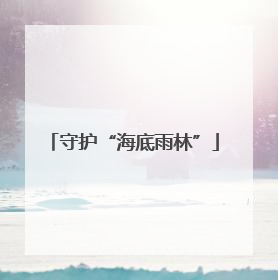 守护“海底雨林”