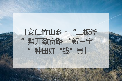 安仁竹山乡：“三板斧”劈开致富路 “新三宝”种出好“钱”景
