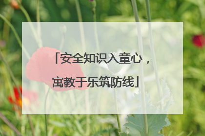 安全知识入童心，寓教于乐筑防线