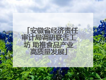 安徽省经济责任审计局调研联舌工坊 助推食品产业高质量发展