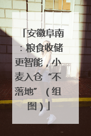 安徽阜南：粮食收储更智能，小麦入仓“不落地”（组图）