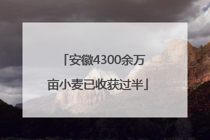安徽4300余万亩小麦已收获过半