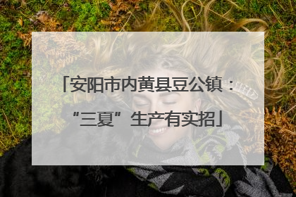 安阳市内黄县豆公镇：“三夏”生产有实招