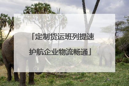 定制货运班列提速 护航企业物流畅通