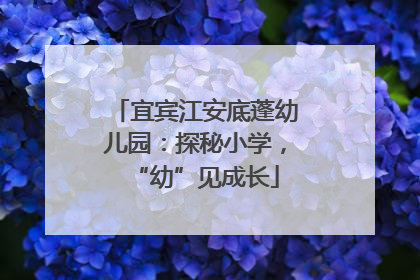 宜宾江安底蓬幼儿园：探秘小学，“幼”见成长