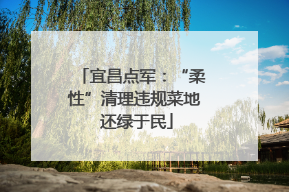 宜昌点军：“柔性”清理违规菜地 还绿于民