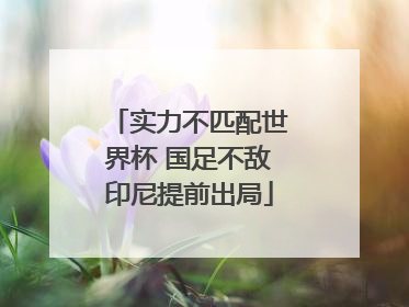 实力不匹配世界杯 国足不敌印尼提前出局