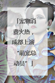 宠物消费火热，成都上演“萌宠总动员”
