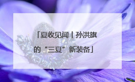 夏收见闻丨孙洪旗的“三夏”新装备