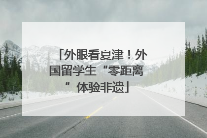 外眼看夏津！外国留学生“零距离”体验非遗