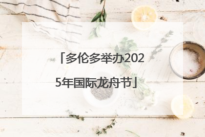 多伦多举办2025年国际龙舟节