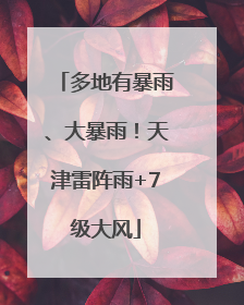 多地有暴雨、大暴雨！天津雷阵雨+7级大风