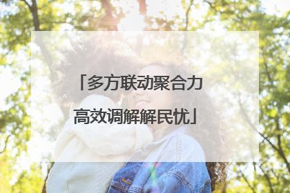 多方联动聚合力 高效调解解民忧
