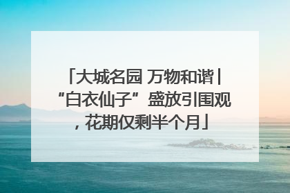 大城名园 万物和谐│“白衣仙子”盛放引围观，花期仅剩半个月
