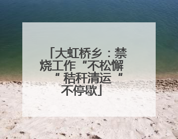 大虹桥乡：禁烧工作“不松懈“ 秸秆清运“不停歇