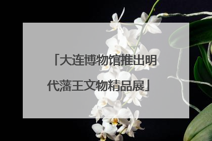 大连博物馆推出明代藩王文物精品展