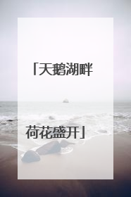 天鹅湖畔荷花盛开