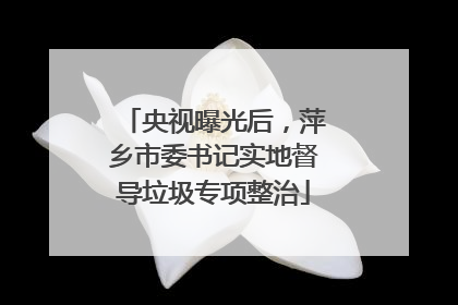 央视曝光后，萍乡市委书记实地督导垃圾专项整治