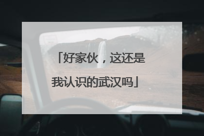 好家伙，这还是我认识的武汉吗