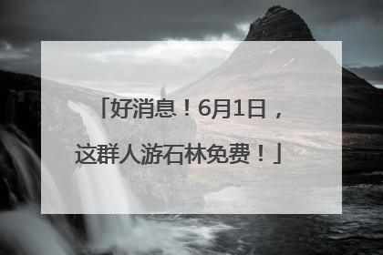 好消息！6月1日，这群人游石林免费！