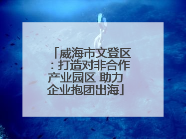 威海市文登区：打造对非合作产业园区 助力企业抱团出海