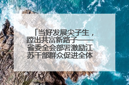 当好发展尖子生，蹚出共富新路子——省委全会部署激励江苏干部群众促进全体人民共同富裕