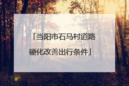 当阳市石马村道路硬化改善出行条件