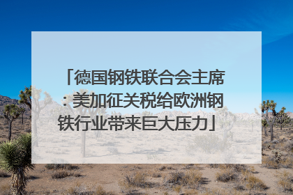 德国钢铁联合会主席：美加征关税给欧洲钢铁行业带来巨大压力
