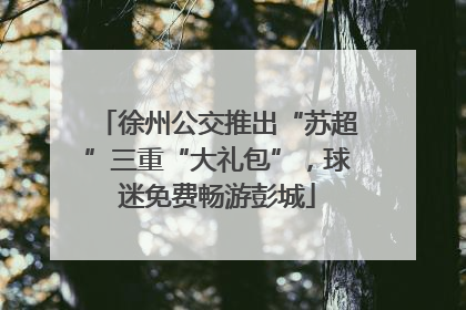 徐州公交推出“苏超”三重“大礼包”，球迷免费畅游彭城
