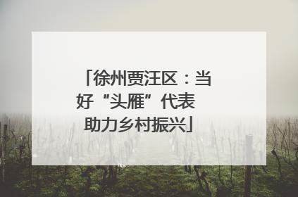 徐州贾汪区：当好“头雁”代表 助力乡村振兴